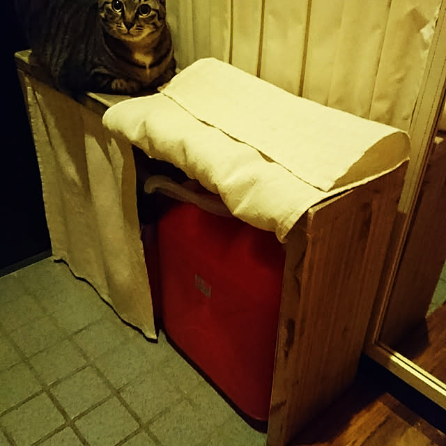 rioさんの実例写真