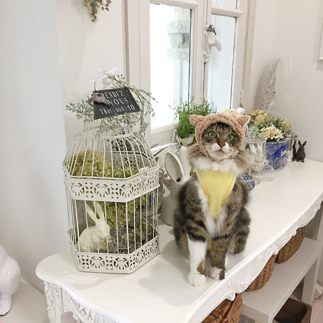 yuchiさんの実例写真