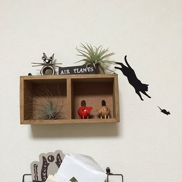 Minamiさんの部屋