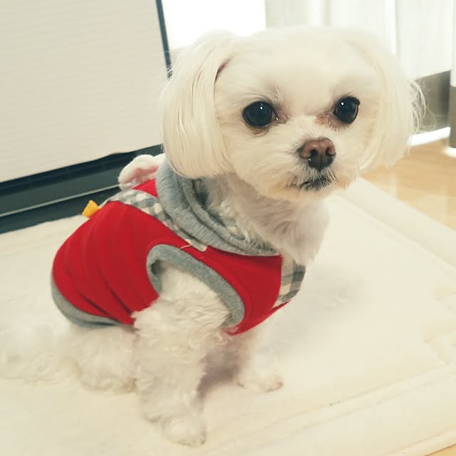 VIORAさんの実例写真