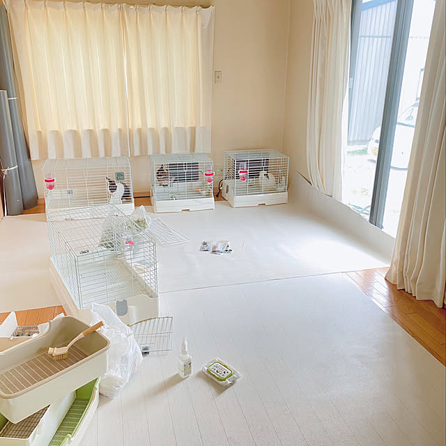 prelumoさんの実例写真