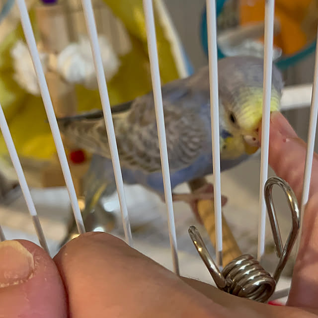Atsukoさんの部屋