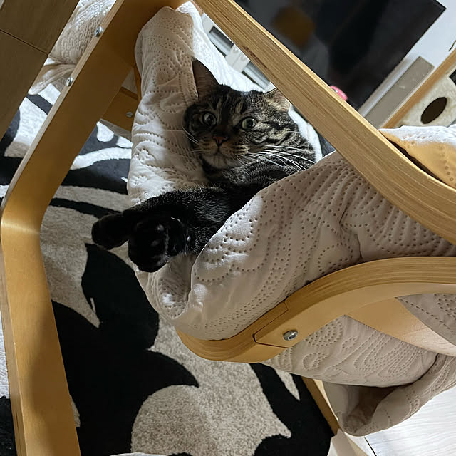momocchiさんの部屋