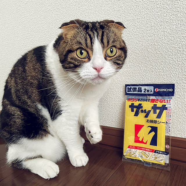 tansukeさんの部屋