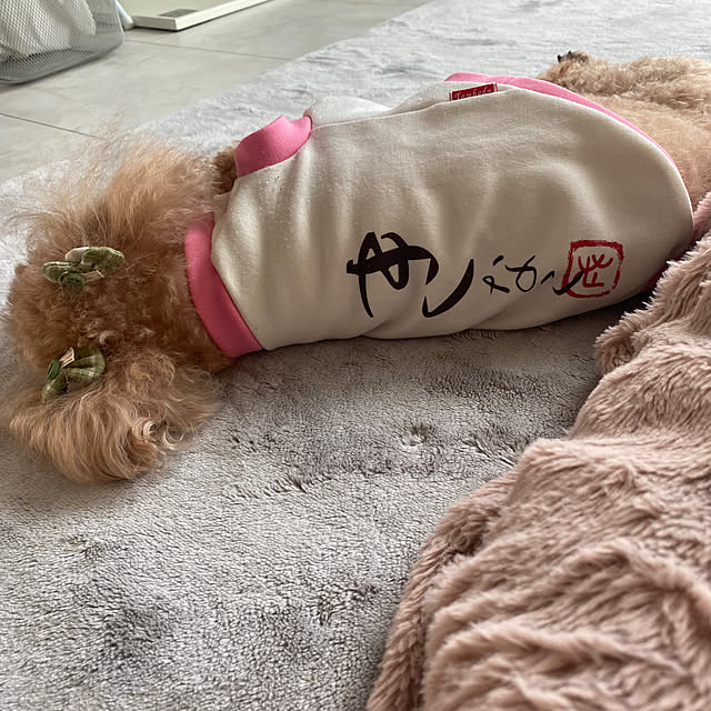 monokoさんの部屋