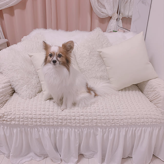 mokachocochanさんの実例写真