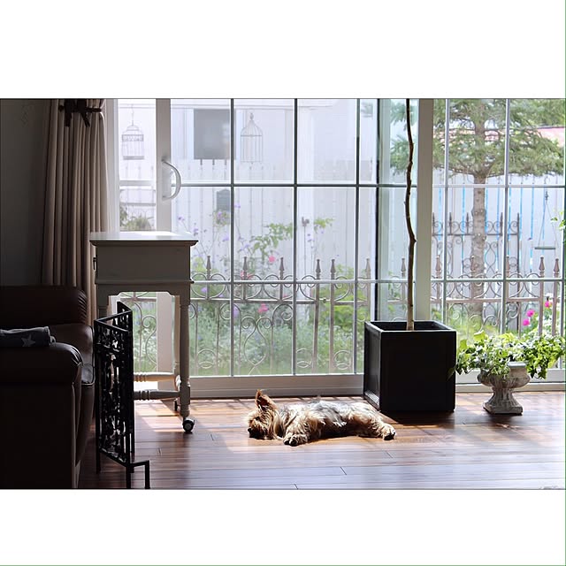 cheeさんの実例写真