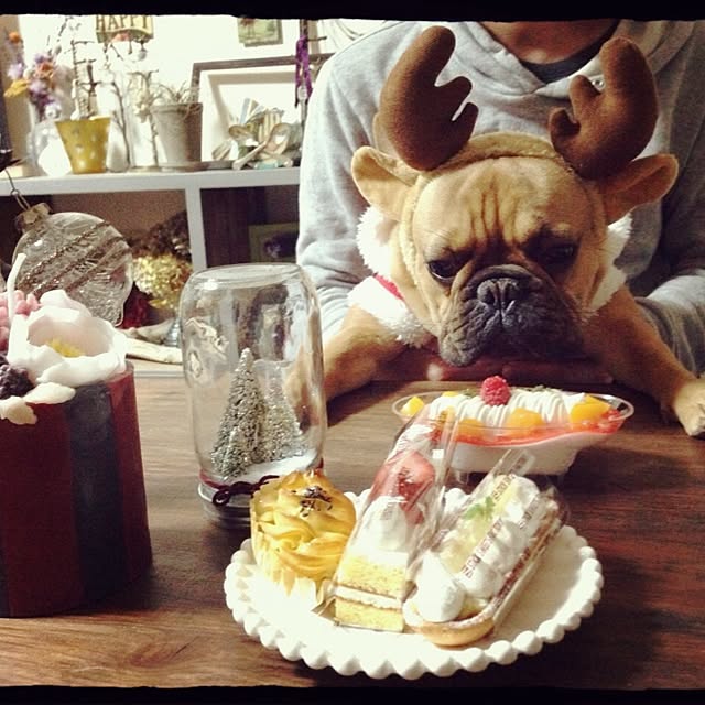 eriさんの実例写真