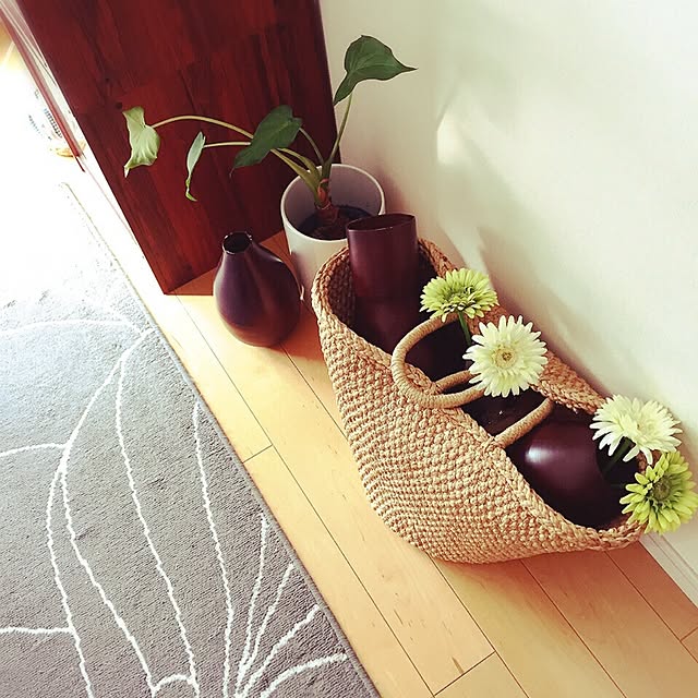 ElliottLeopard4523さんの実例写真