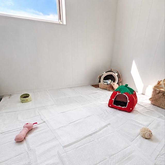 Yukimiさんの実例写真