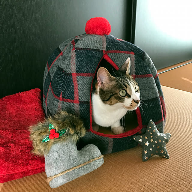 nsugi0710さんの実例写真