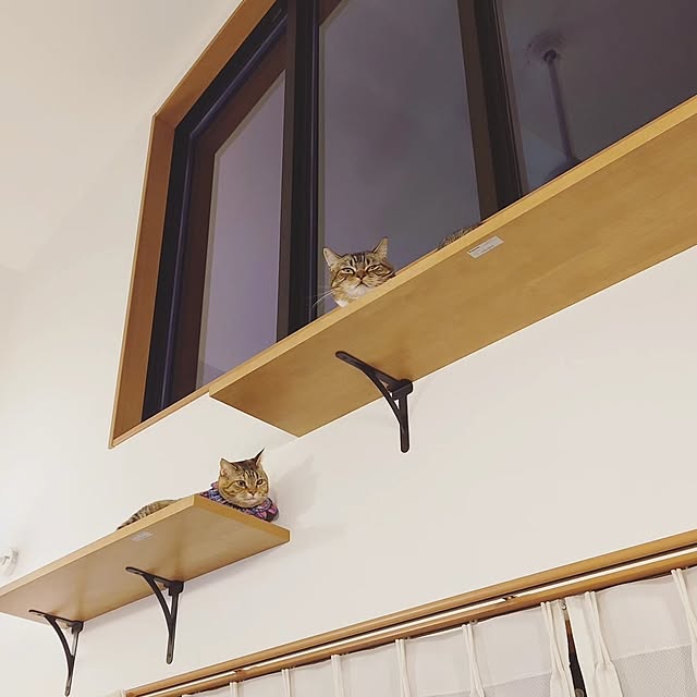 mochicoさんの実例写真