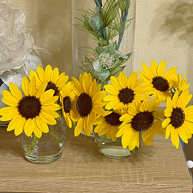 kaochanさんの実例写真