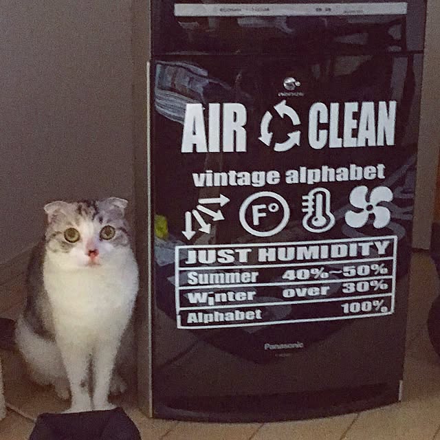 yokkochanさんの実例写真