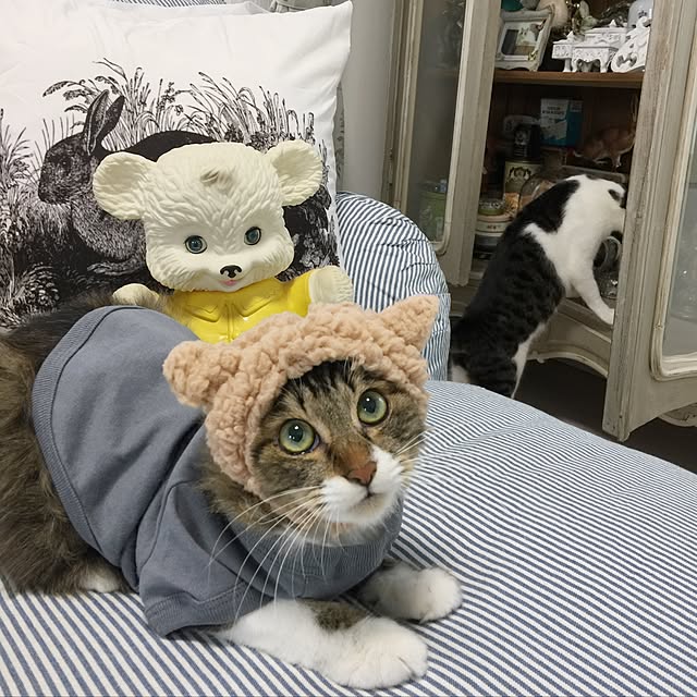 yuchiさんの実例写真