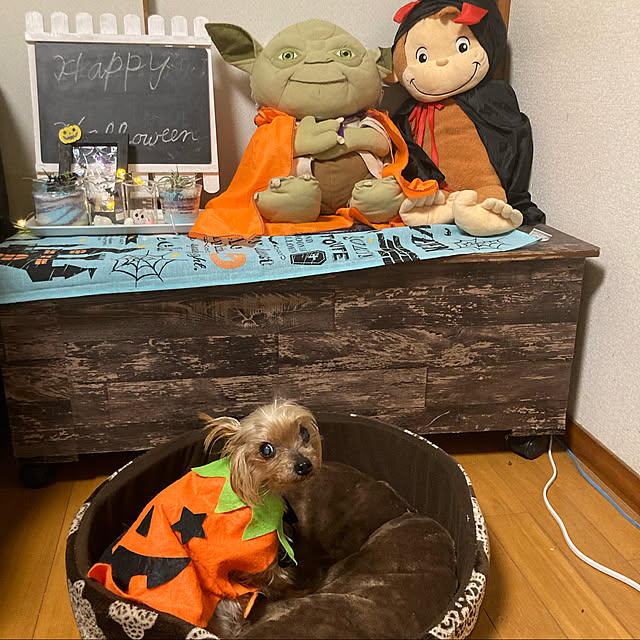 CoCo0617さんの実例写真