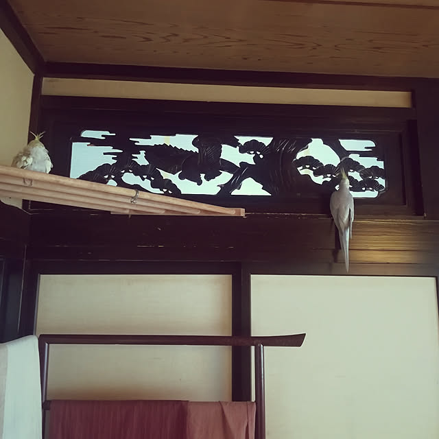 amanojakuさんの実例写真
