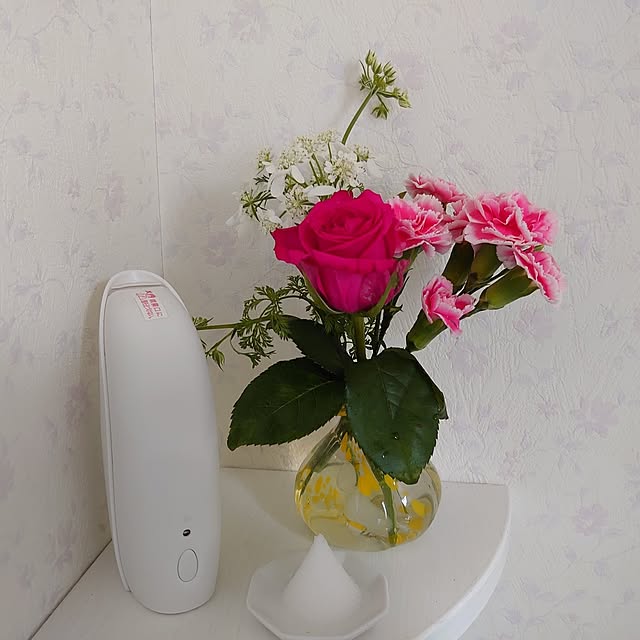 merirynさんの実例写真