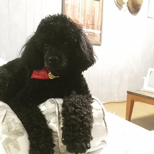 natulove0418さんの実例写真