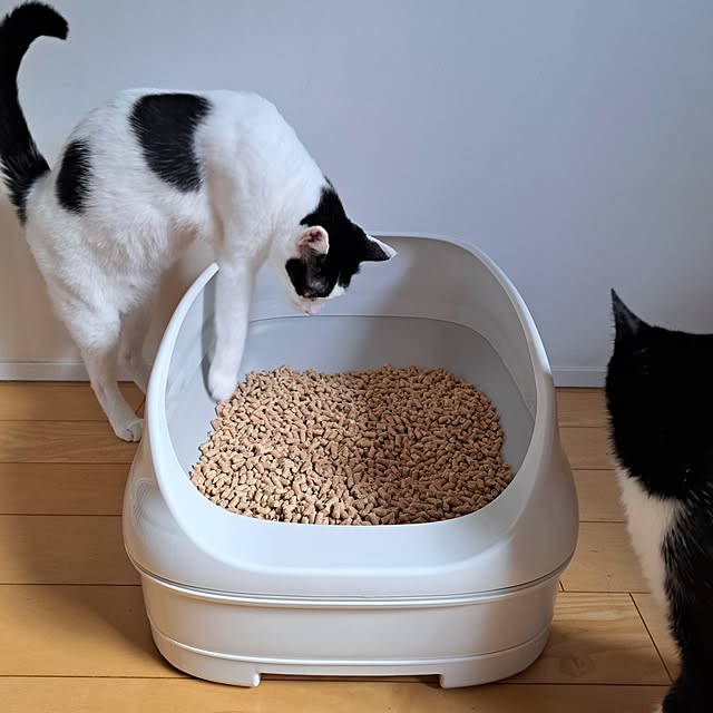 sa-さんの実例写真