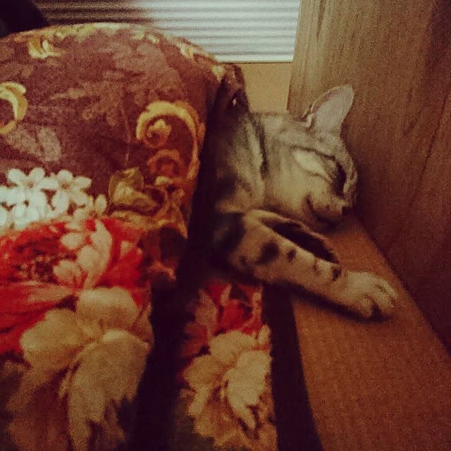 machikomamaさんの実例写真