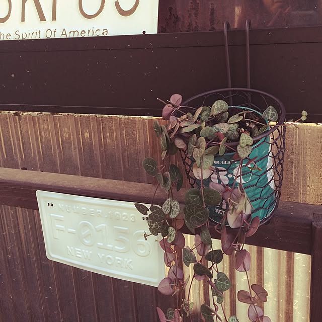 mikaさんの実例写真