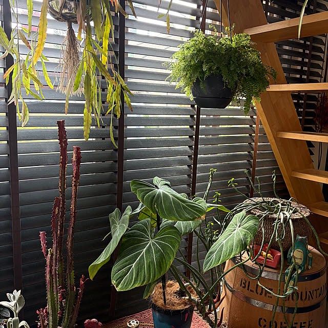 calmeさんの実例写真