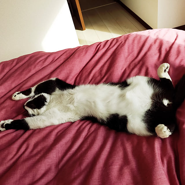 nnk.akさんの実例写真