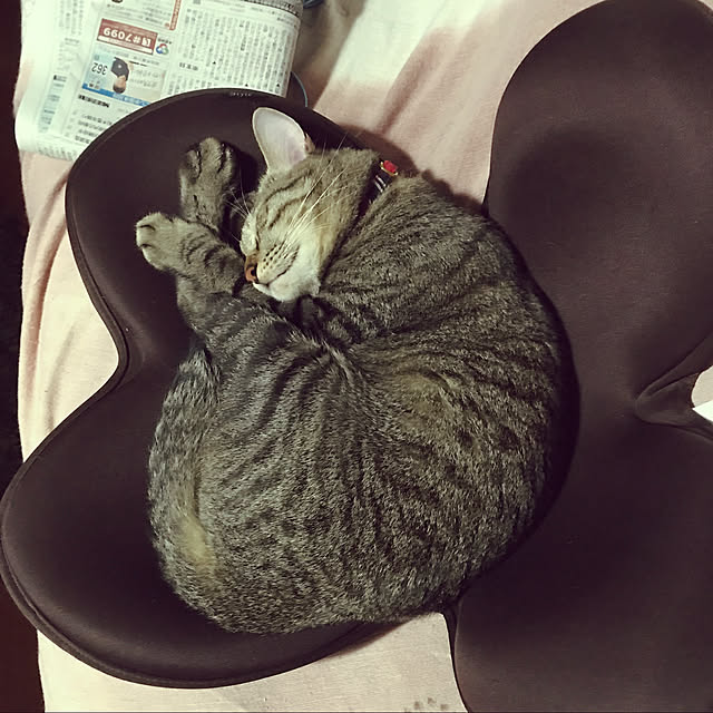 mikan161さんの実例写真