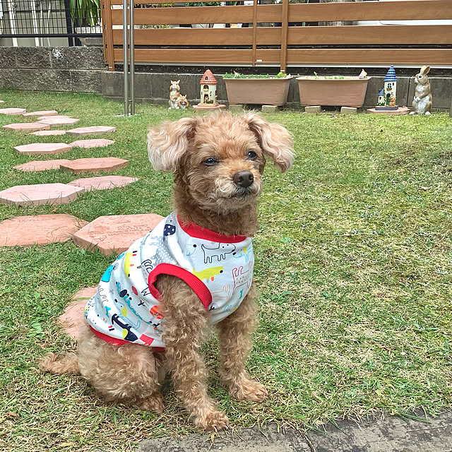 haruminさんの実例写真