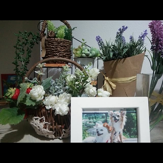yukari.morizakiさんの実例写真