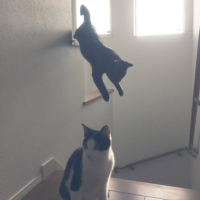 aruさんの実例写真