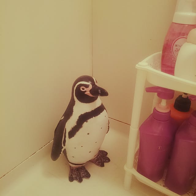 rinmarorinさんの実例写真