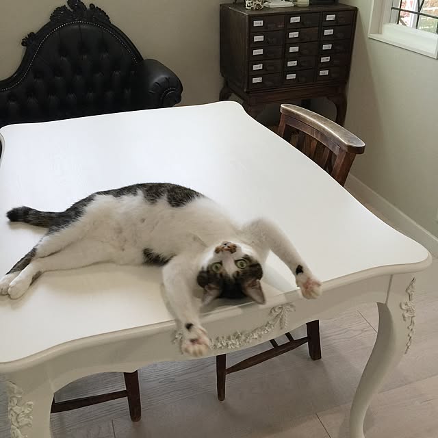 yuchiさんの実例写真