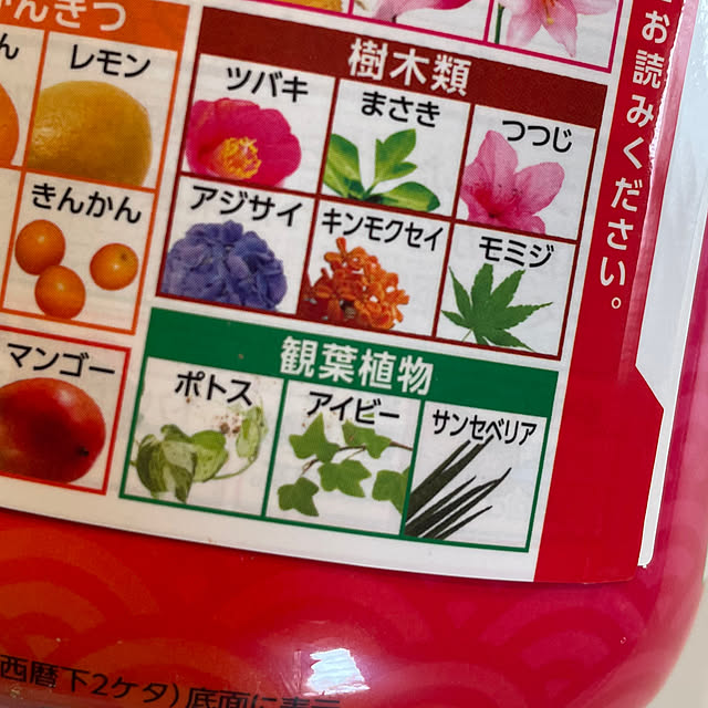 SIELUさんの部屋