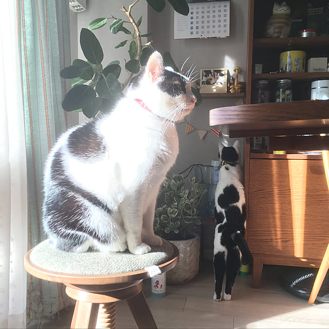 hanaさんの実例写真
