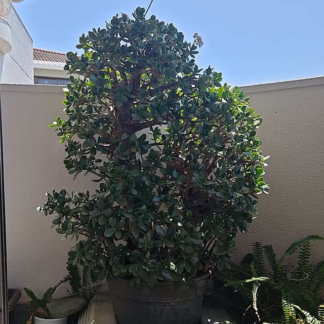 otibi.tt8787さんの実例写真