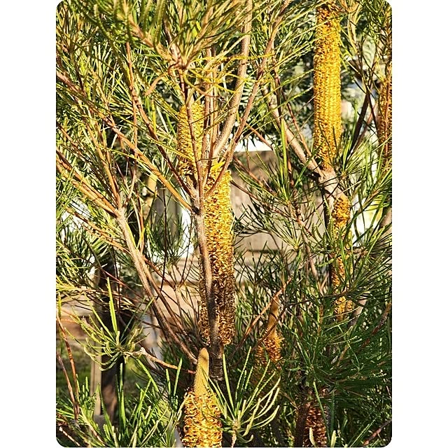 chiii13さんの部屋