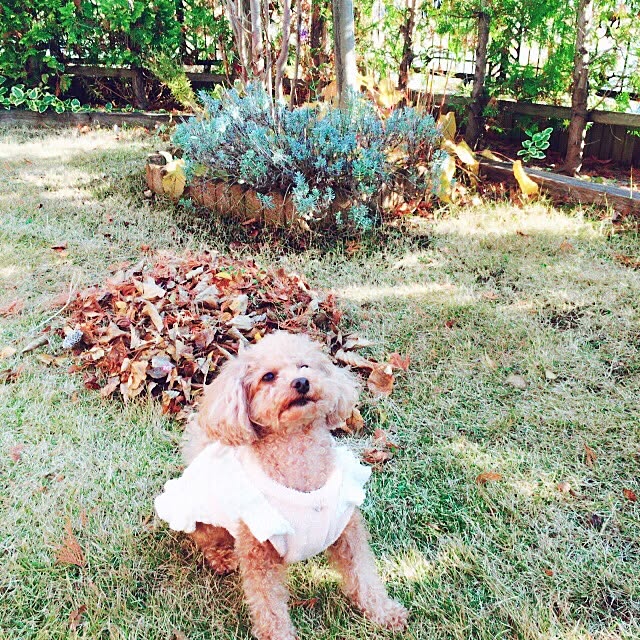 Momoさんの実例写真