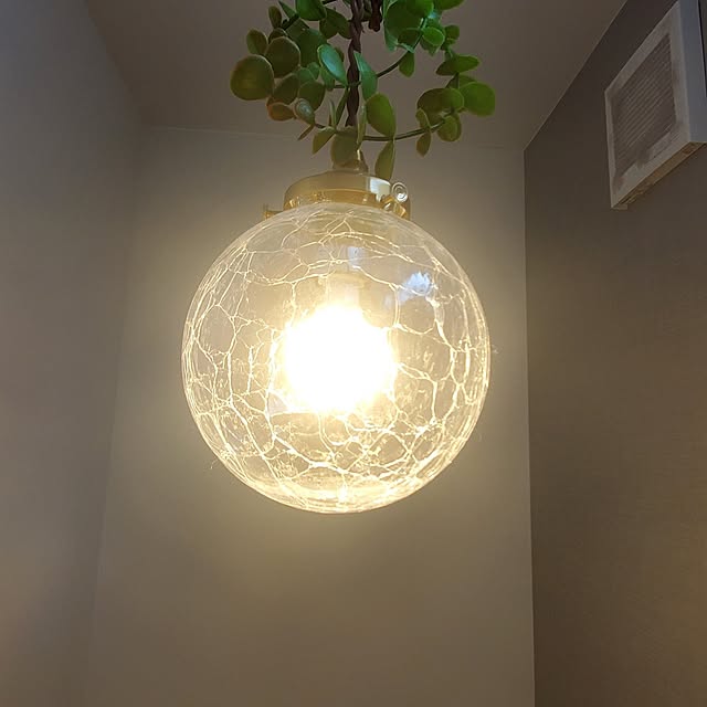 kiyomiさんの実例写真