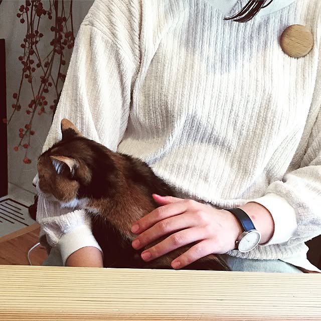 mohayaeteさんの実例写真