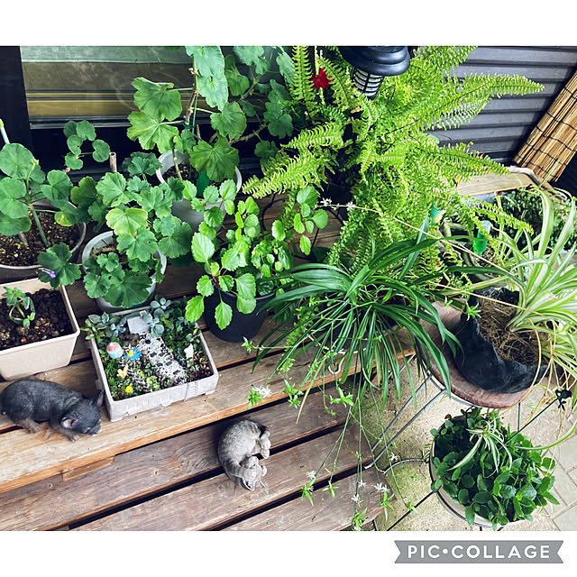 CoCo0617さんの部屋