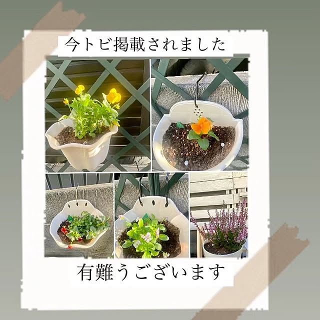 YuuKoさんの実例写真