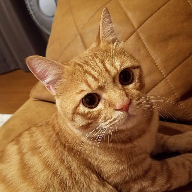 C.Tさんの実例写真