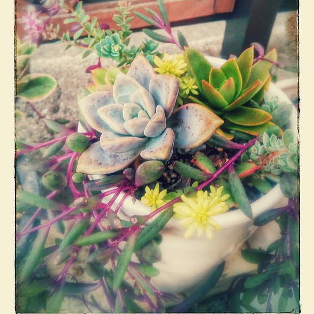 VERANDARJUNさんの実例写真