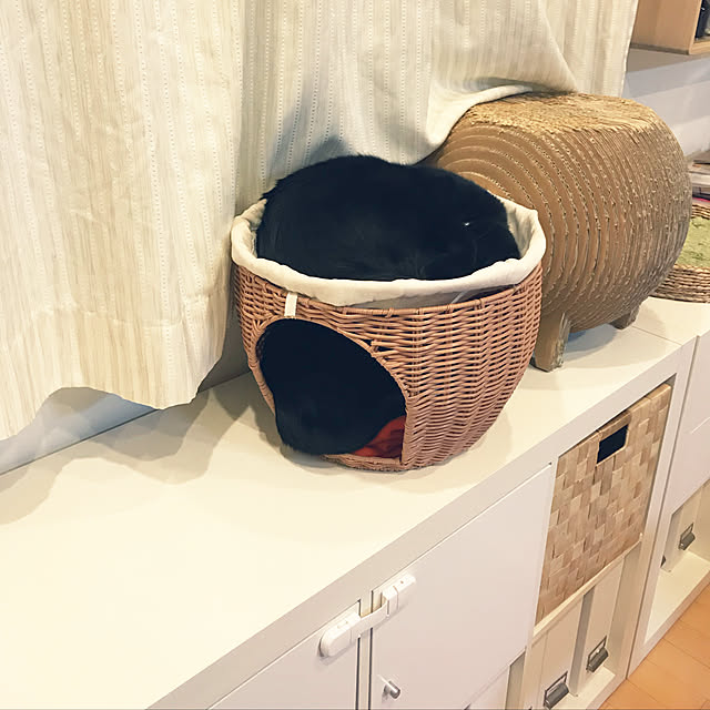 yuki0511さんの実例写真