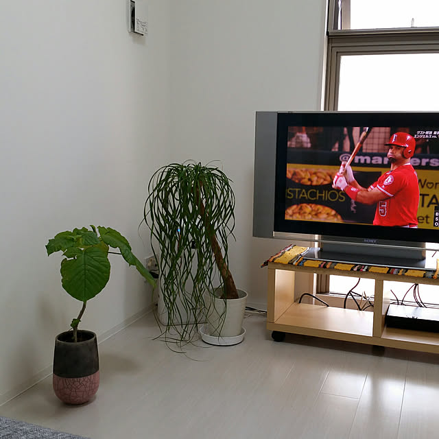 7788kenさんの実例写真