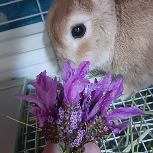 aiさんの部屋