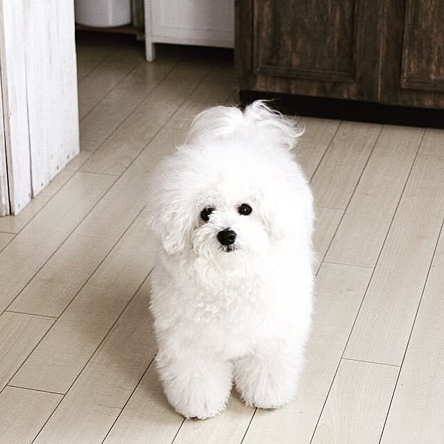happy_bridgeさんの実例写真