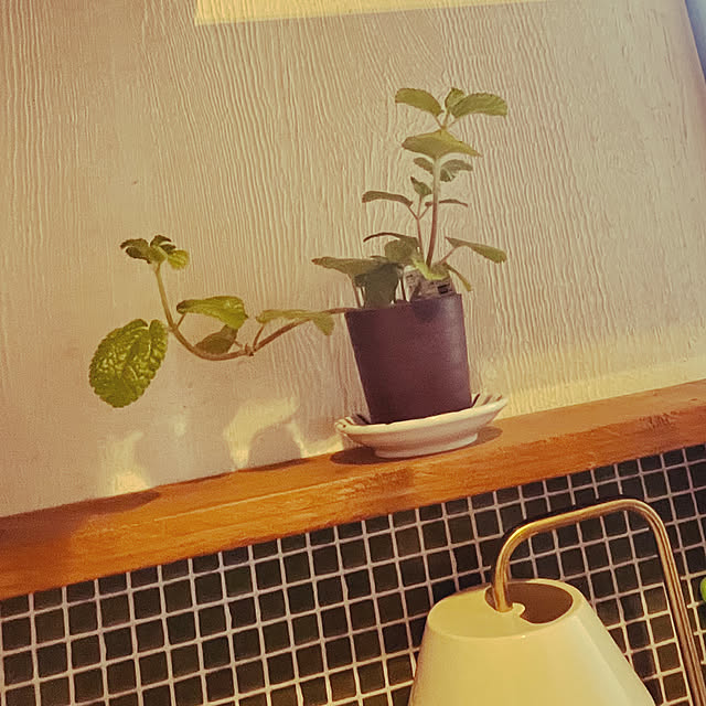 kuma.diyさんの部屋